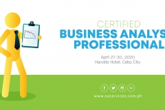 Certified-Business-Analysis-Professional